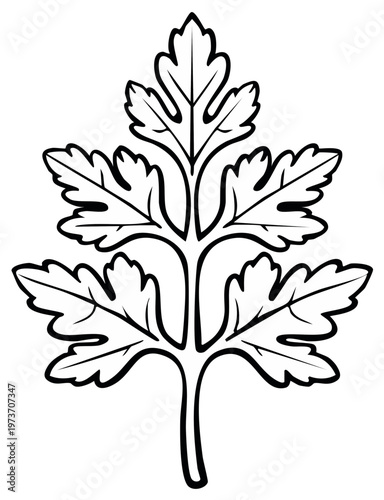 Stylized botanical illustration of a detailed parsley leaf outline with a stem