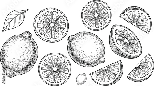 Vibrant illustration of lemons in various forms and slices