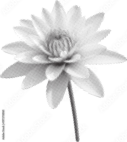  halftone collage flower intricate black and white floral art for modern decor and botanical design description a striking black and white