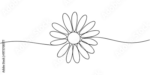 Daisy flower continuous one line drawing, daisy flowers continuous one line drawing, Minimalist one line art of a daisy flower on a white background, in outline illustration, daisy flowers continuous 
