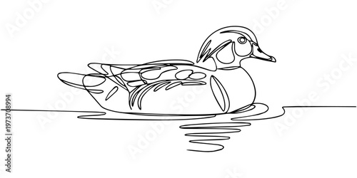 wood duck swimming continuous one line drawing, One continuous single line of wood duck swimming in river. Famous bird line art isolated on white background, Duck continuous one line drawing   