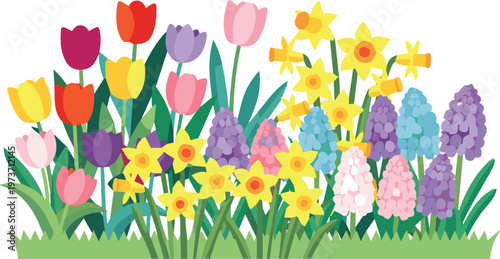 Generated on Spring garden, bursting with an array of blooming tulips, daffodils, and hyacinths in a riot of colors vector art on white background