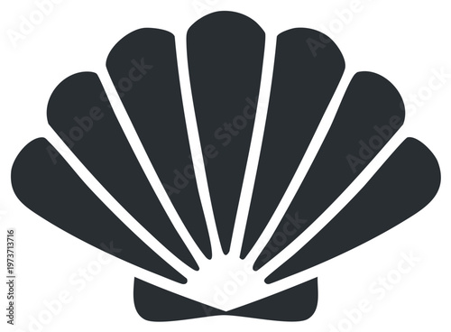 Elegant Seashell Illustration with Detailed Texture and Geometric Design