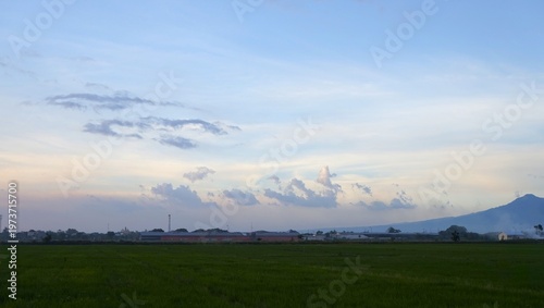 A vast expanse of green rice fields stretches out and mountains in the distance under a blue sky. This scene captures the harmony of rural agriculture and natural beauty, evoking a peaceful tropical c