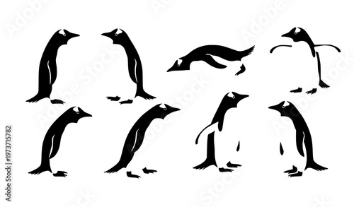 Gentoo penguin vector collection Antarctic wildlife birds in different poses flat illustration set