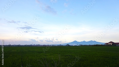 A vast expanse of green rice fields stretches out and mountains in the distance under a blue sky. This scene captures the harmony of rural agriculture and natural beauty, evoking a peaceful tropical c