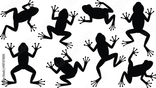 Frog silhouettes illustration, amphibian poses, jumping frogs, sitting frogs, tree frog design, wildlife art, nature pattern, biological diversity, animal icon