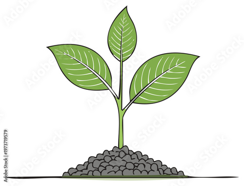 Green sprout growing from soil illustration depicting growth and development