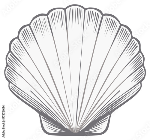Stylized Seashell: Nautical Themed Isolated Graphic Resource