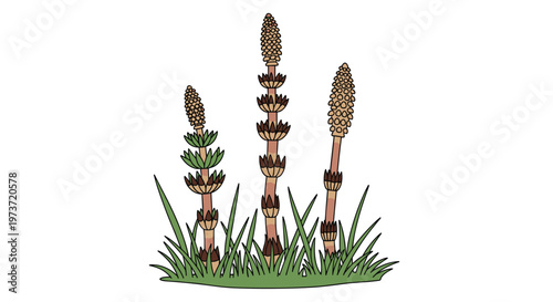 Three field horsetail plants or tsukushi are shown growing amidst green grass blades as a symbol of the arrival of spring in Japan.
