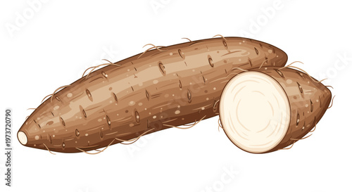 Fresh brown yam or taro root with one slice removed showing the starchy white interior for food and agriculture.