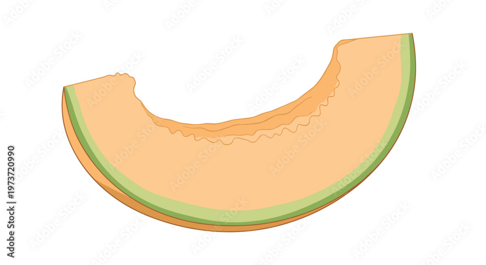Fototapeta premium Slice of sweet orange melon with a green rind is shown in a simple illustration capturing the refreshing look of a healthy and delicious snack.