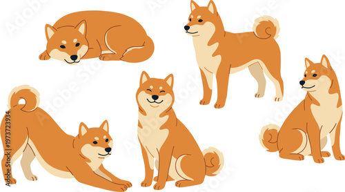 Shiba Inu Dog Pose Vector Set with Sitting Standing Sleeping Stretching Cute Pet Illustration Collection for Animal Lovers Branding and Design