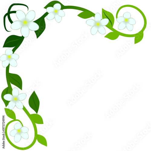 White flowers and green leaves border