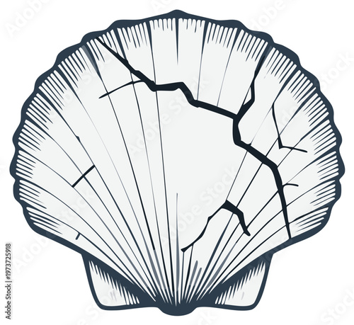 Cracked seashell illustration depicting flaws and fragility in marine life design with detailed line art.