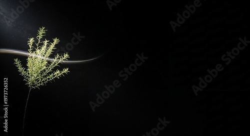 Minimal decorative Easter egg with floral pattern, soft studio lighting, elegant product style