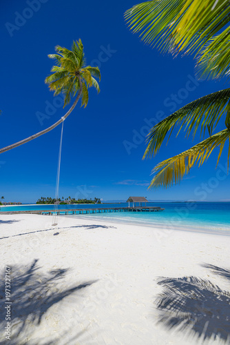 Breathtaking gorgeous maldives beach with palm tree swing, radiant blue sky pristine white sand, captivating turquoise ocean view and dreamy picturesque tropical tourism landscape wallpaper background