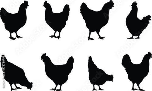 Chicken silhouettes, poultry figures, farm animals, bird outlines, black artwork, nature design, livestock icon, stylized poses, agricultural symbol, wildlife illustration