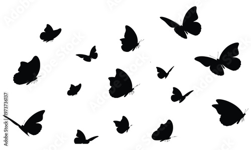 Black butterflies flying in various directions on white background illustration