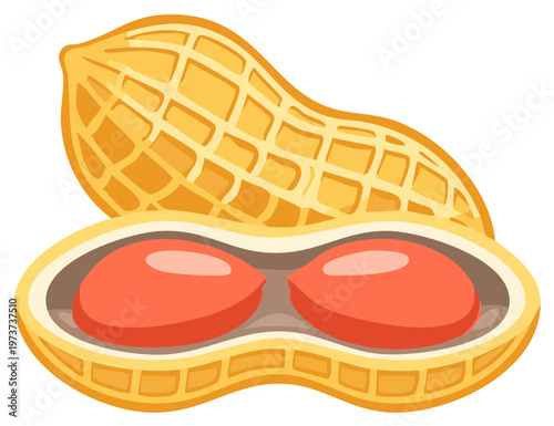 Stylized Peanut Illustration, Whole and Open Pods with Seeds, Nutritious Snack