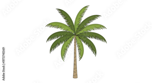 Palm tree with green leaves standing.