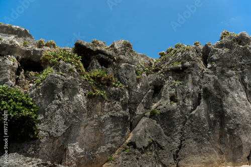 Rocky coastal cliff with lush green vegetation