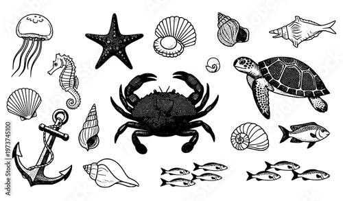 Halftone vintage marine life vector set with crab starfish turtle anchor and nautical elements isolated