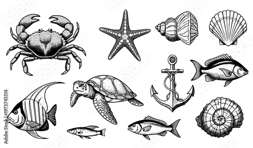 Vintage halftone marine life vector set with crab starfish turtle anchor and nautical elements isolated
