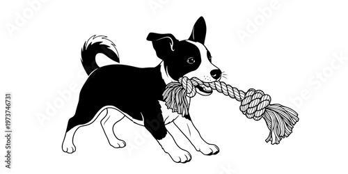 Eco Friendly Rope Toy Sustainable Pet Play Icon