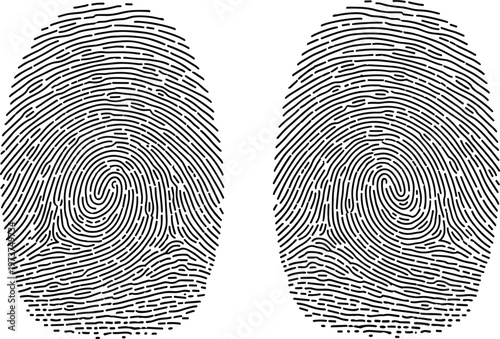 Fingerprint patterns, biometric identification, forensic science, unique ridges, spiral whorls, security concept, personal identity, black and white, vector illustration, crime analysis
