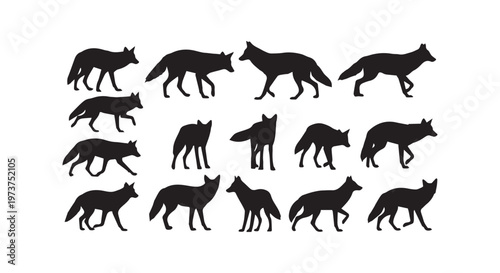 A group of black and white cows standing together in a field, showcasing pastoral harmony and rural tranquility