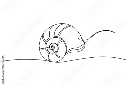 Snail shell continuous line drawing on white background.