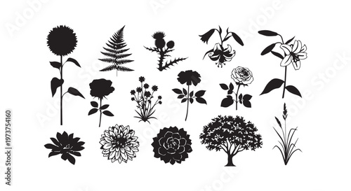 Artistic ink illustrations of diverse plant species showcasing leaves and flowers in a minimalist style