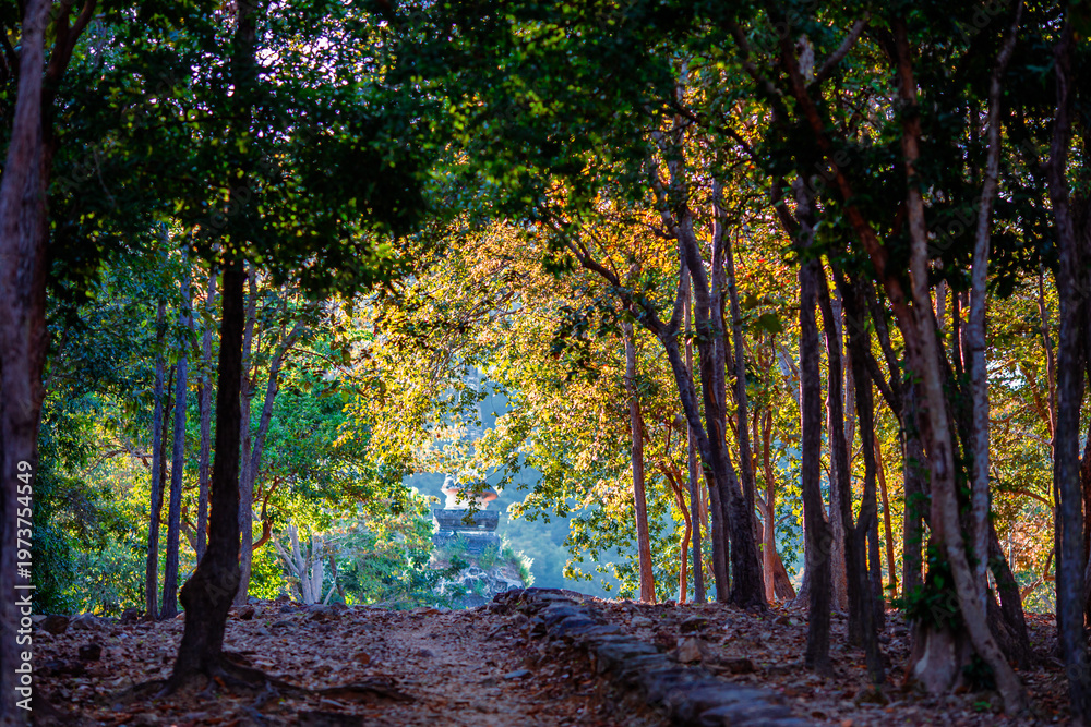 Obraz premium A natural backdrop from high mountain peaks offers views of trees, grass, rubber trees, and wild beehives, with a cool breeze blowing throughout the journey.