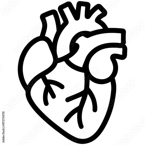 Anatomical illustration of a human heart with internal chambers and vessels depicted