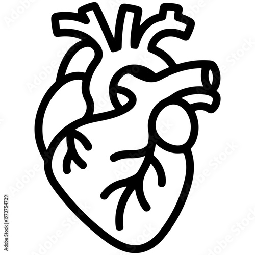Anatomical illustration of the human heart with its major blood vessels