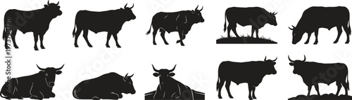 Black silhouette collection diverse cow profiles and poses in a grid arrangement