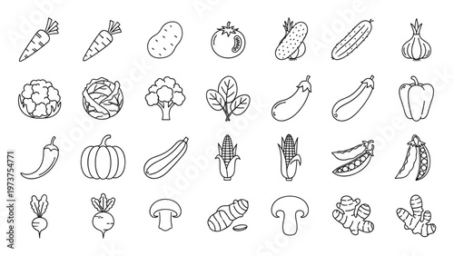 Vegetable icons line set carrots potatoes tomatoes cucumbers onions broccoli spinach vector menu