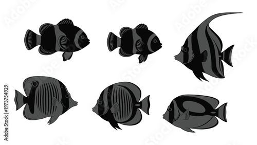 Tropical sea fish collection vector set with clownfish and butterflyfish illustrations