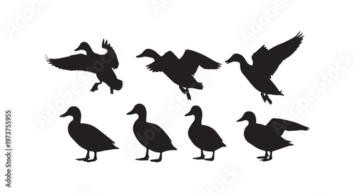 Silhouettes of bats flying in a night sky, showcasing their distinctive wing shapes and echoing their nocturnal nature