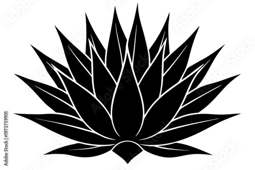 Agave plant icon  silhouette art,  agave-plant white background