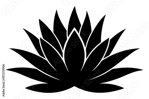 Agave plant icon  silhouette art,  agave-plant white background