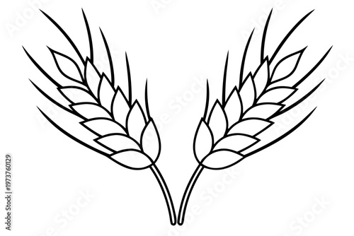 ears of wheat outline, ears black line art symbol 

