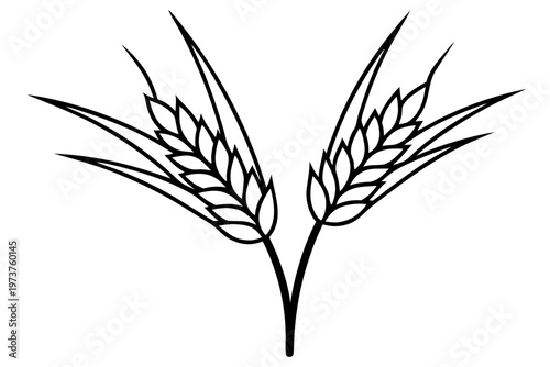 ears of wheat outline, ears black line art symbol 
