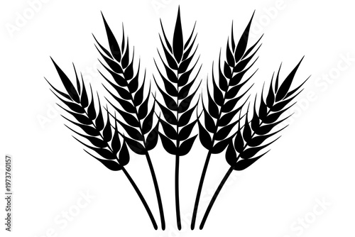 ears of wheat vector illustration, ears of wheat icon vector