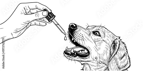 Pet Supplements CBD Oil Wellness Dropper Icon