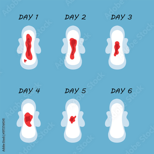Bleeding Menstrual Period on Pad day by day. Female pad with Blood. Vector illustration.