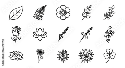 Black Botanical Leaves Nature Floral Icons Set.