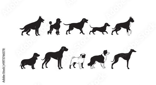 A herd of black horses galloping across a pristine snowy landscape with a clear sky