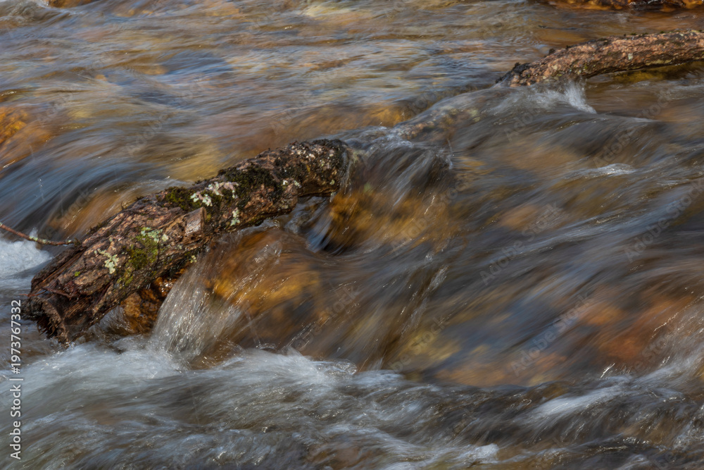 Obraz premium Natural forest landscape with a flowing river and water moving over rocks, surrounded by trees in autumn season